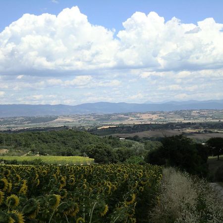 Hotel Sangallo B&B Montepulciano Stazione Exteriör bild