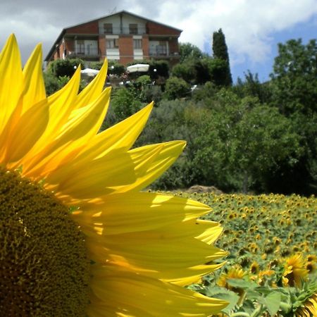 Hotel Sangallo B&B Montepulciano Stazione Exteriör bild