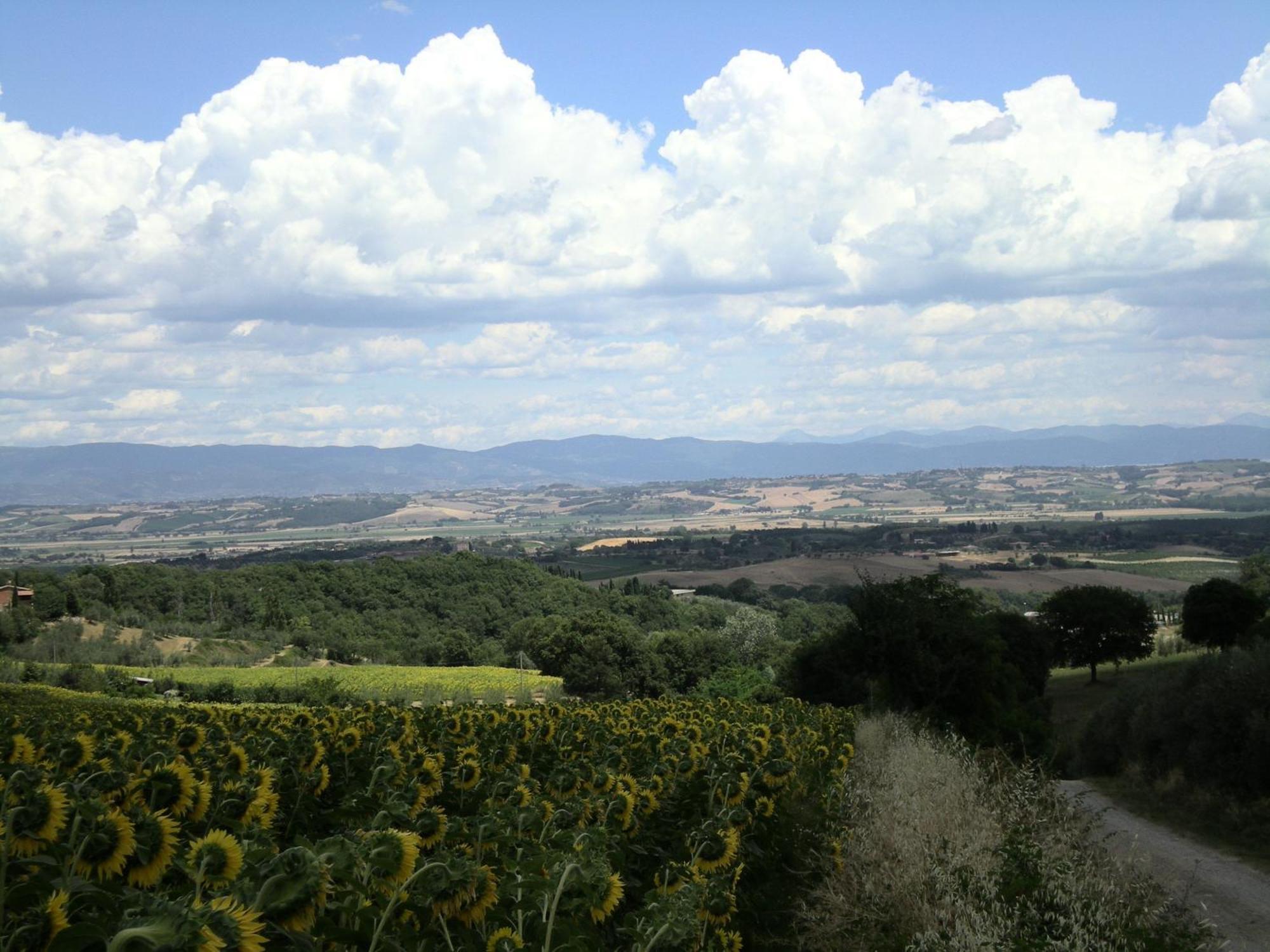 Hotel Sangallo B&B Montepulciano Stazione Exteriör bild