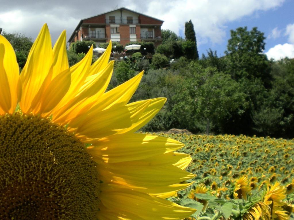 Hotel Sangallo B&B Montepulciano Stazione Exteriör bild